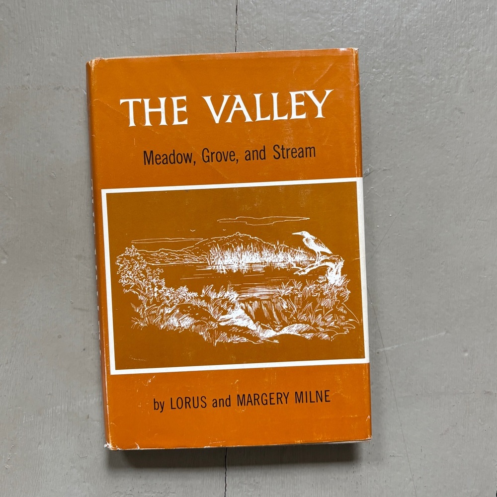 Signed 1963 The Valley Meadow Grove Stream Durham NH Oyster River New Hampshire